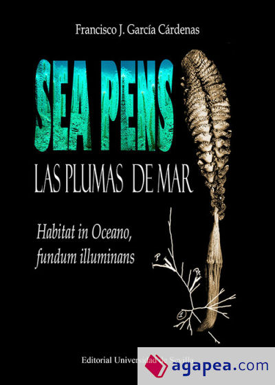 Sea Pens. Las plumas del mar