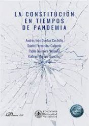 Portada de La Constitución en tiempos de pandemia