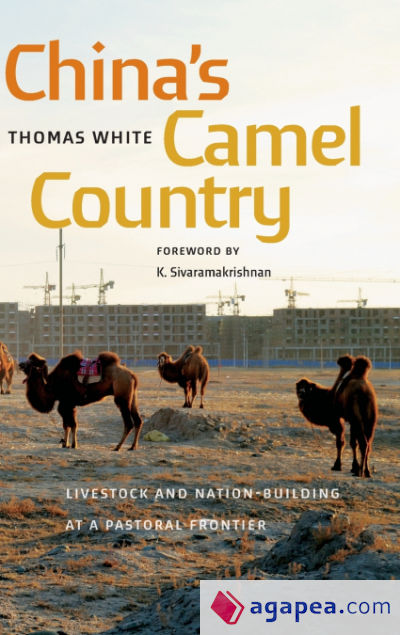 Chinaâ€™s Camel Country