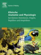 Portada de Klinische Anatomie und Physiologie bei kleinen Heimtieren, V&ouml;geln, Reptilien und Amphibien (Ebook)
