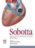 Portada de Sobotta Atlas of Human Anatomy, Vol. 3, 15th ed., English/Latin (Ebook)