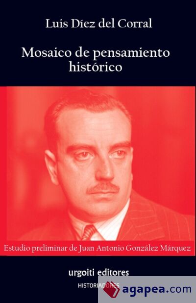 Mosaico de pensamiento hist&oacute;rico