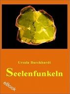 Portada de Seelenfunkeln (Ebook)
