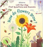 Portada de First Lift-the-Flap Questions and Answers How Do Flowers Grow?