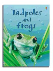 Portada de Tadpoles and Frogs