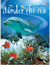 Portada de Under the sea (Usborne Beginners)