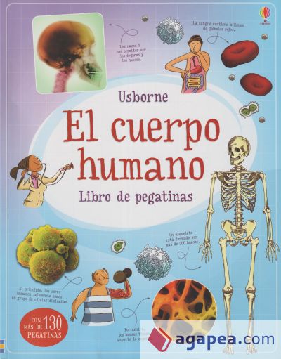 EL CUERPO HUMANO