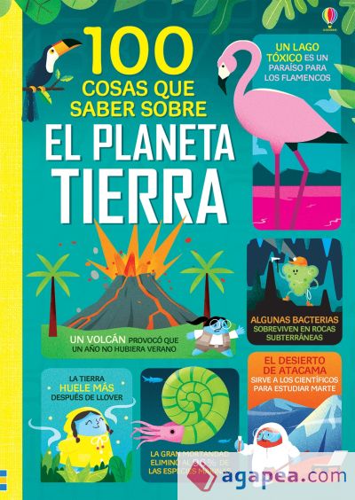 PLANETA TIERRA