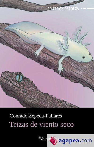 TRIZAS DE VIENTO SECO TRIZAS DE VIENTO SECO