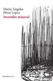 Portada de Incendio mineral