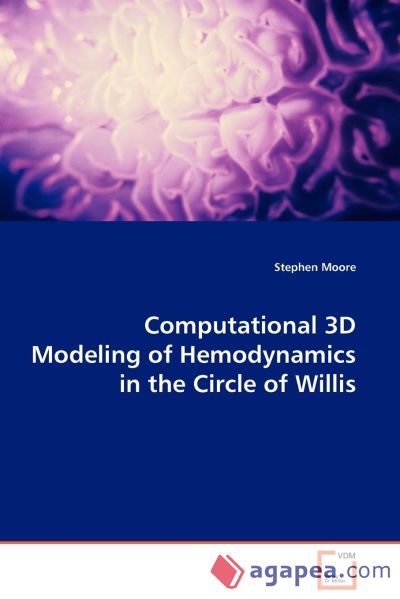 Computational 3D Modeling of Hemodynamics in the Circle of Willis