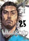 Vagabond 25