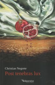 Portada de Post tenebras lux