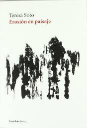 Portada de EROSION EN PAISAJE