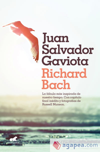 Juan Salvador Gaviota