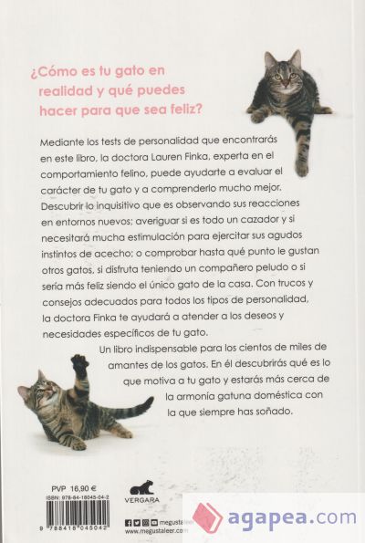 Test de personalidad para gatos: ¿Conoces bien a tu gato?