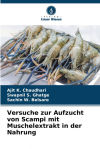 Versuche zur Aufzucht von Scampi mit Muschelextrakt in der Nahrung