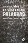 Vida En Las Palabras