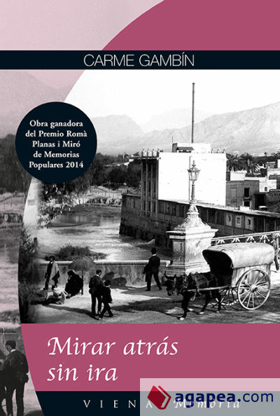 Mirar atr&aacute;s sin ira
