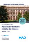 Vigilancia y atención en salas de museos (Grupo Profesional E1). Temario y test. Ministerio de Cultura y Deporte