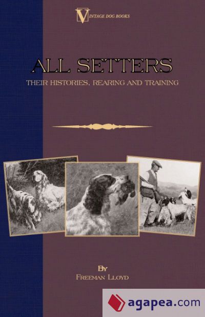All Setters