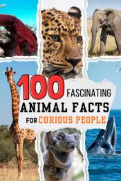 Portada de 100 Fascinating Animal Facts for Curious People