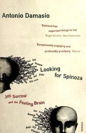 Portada de Looking for Spinoza