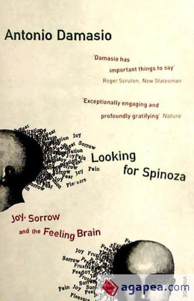 Looking for Spinoza