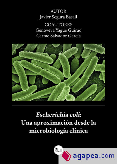 Escherichia coli: Una aproximación desde la microbiología clínica