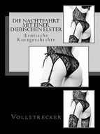 Portada de Die Nachtfahrt mit einer diebischen Elster (Ebook)