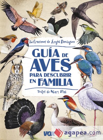 Guía de aves para descubrir en familia