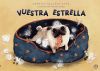 Vuestra Estrella