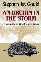 Portada de Urchin in the Storm