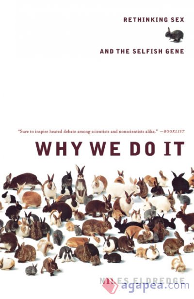 Why We Do It