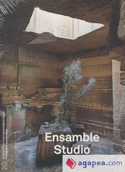 2g: Ensamble Studio: Issue #82