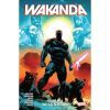 Wakanda, el alma de la naci&oacute;n