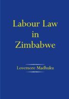 Portada de Labour Law in Zimbabwe (Ebook)