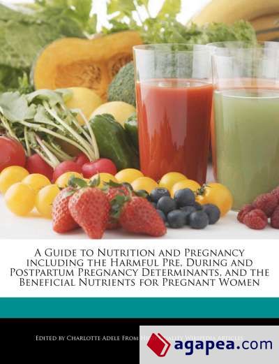 A GUIDE TO NUTRITION AND PREGNANCY INCLUDING THE HARMFUL PRE, DURING ...