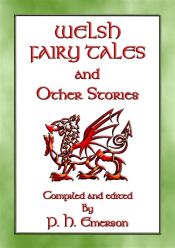 Portada de Welsh Fairy Tales And Other Stories (Ebook)