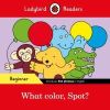 What color, Spot? (Ladybird)