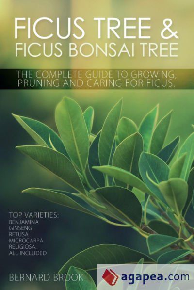 Ficus Tree and Ficus Bonsai Tree. The Complete Guide to Growing, Pruning and Caring for Ficus. Top Varieties