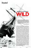 Wild, El viaje definitivo