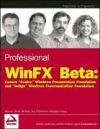Professional Winfx Beta