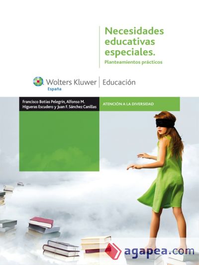 Necesidades educativas especiales. Planteamientos prácticos (Ebook)