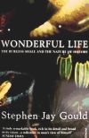 Wonderful Life