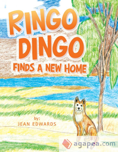 Ringo Dingo Finds a New Home