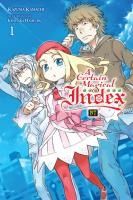 Portada de A Certain Magical Index Nt, Vol. 1 (Light Novel)