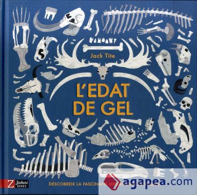 L'edat de gel