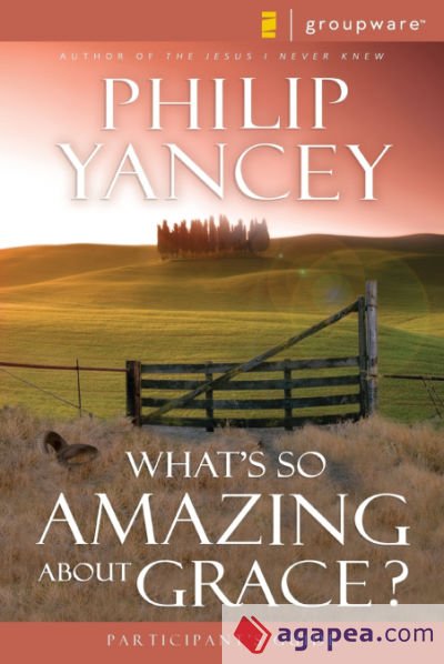 What&acirc;s So Amazing About Grace?
