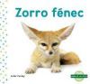 Zorro F&eacute;nec (Fennec Fox)